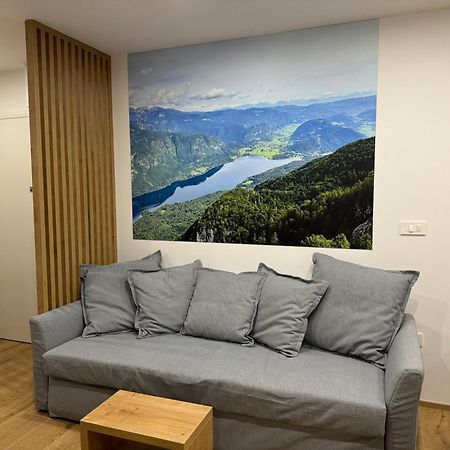 Apartma Tisa Bohinj-No Ouside Windows Eksteriør bilde