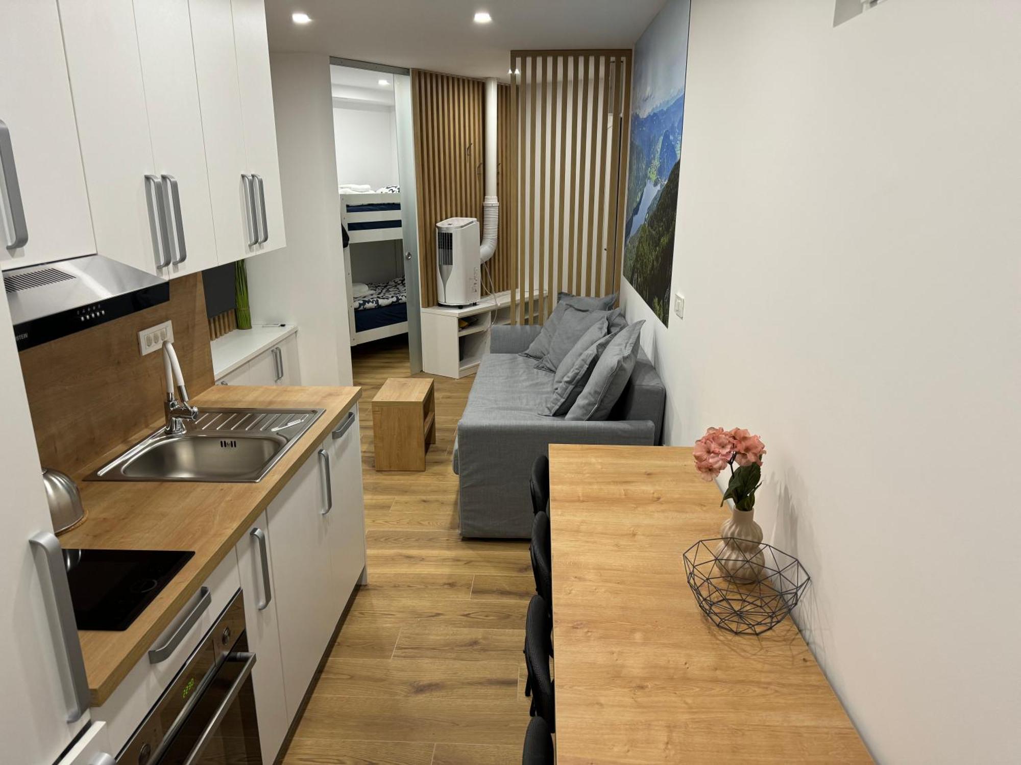Apartma Tisa Bohinj-No Ouside Windows Eksteriør bilde