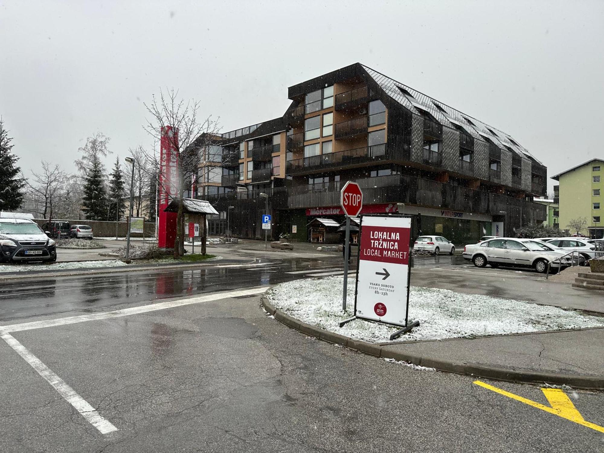 Apartma Tisa Bohinj-No Ouside Windows Eksteriør bilde