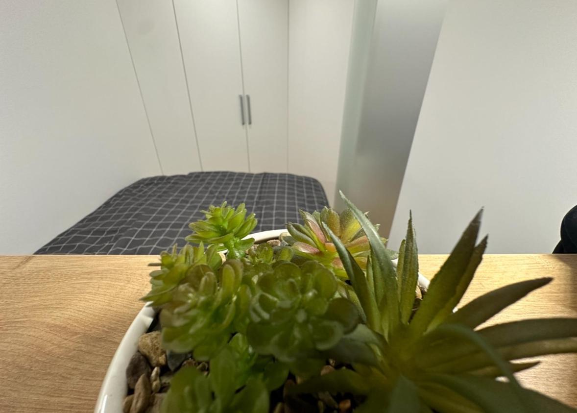 Apartma Tisa Bohinj-No Ouside Windows Eksteriør bilde